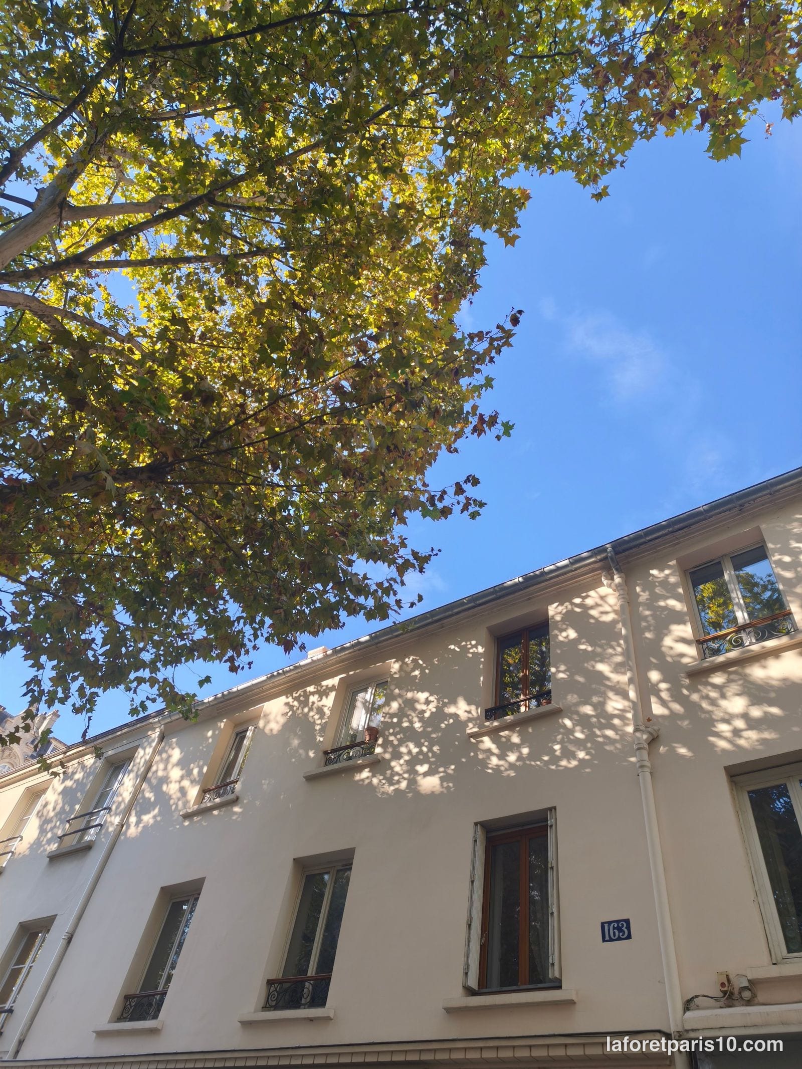 You are currently viewing 163 avenue Jean Jaurès, Paris 19e — maison faubourienne de la première moitié du XIXe siècle