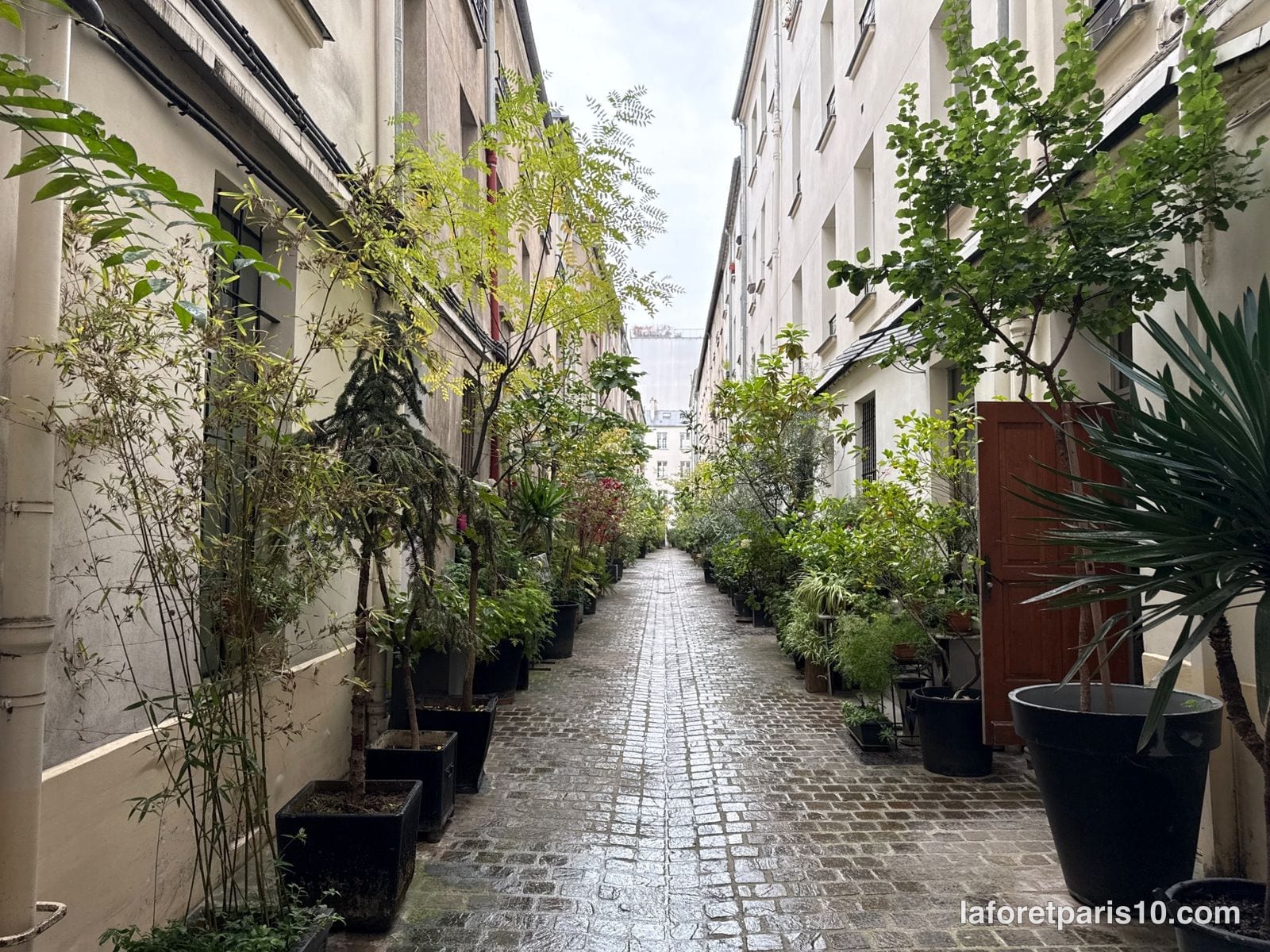 Longue cour pavée bordée de bacs plantés au 61 rue du Faubourg Saint-Denis, Paris 10e